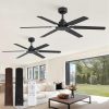 Ceiling Fan No Light, 48 Inch Indoor/Outdoor 6 Blades Ceiling Fan with Remote, 6-Speeds, Quiet Reversible DC Motor, Fans Without Light for Tilted Ceiling/Bedroom/Living Room/Patios, 2 Pack