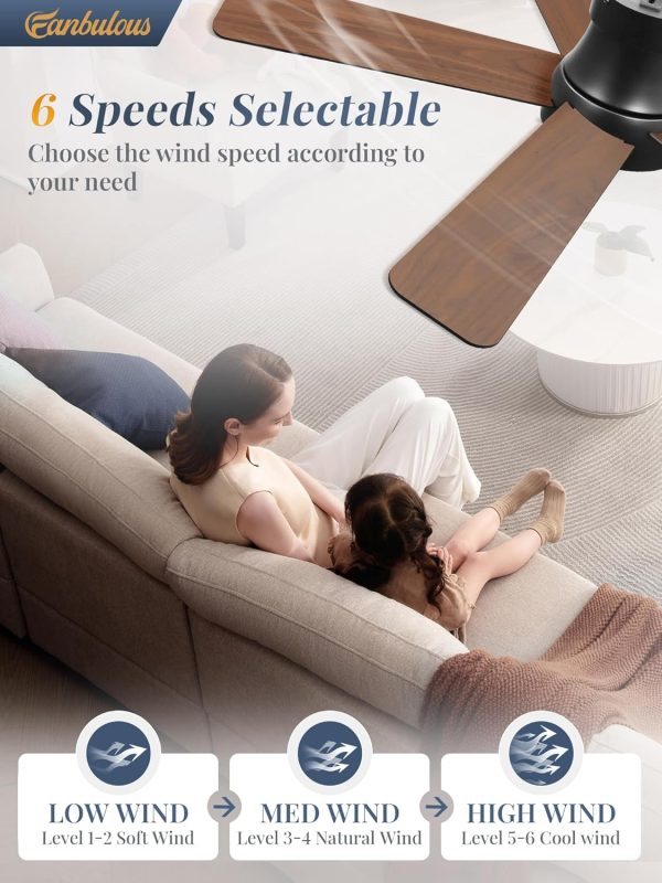 42 Inch Ceiling Fans with Lights and Remote,Outdoor Indoor Modern Flush Mount Ceiling Fan with 3CCT 6-Speed Quiet DC Motor,Small Low Profile Ceiling Fan for Bedroom Living Room OfficeBlack RGB